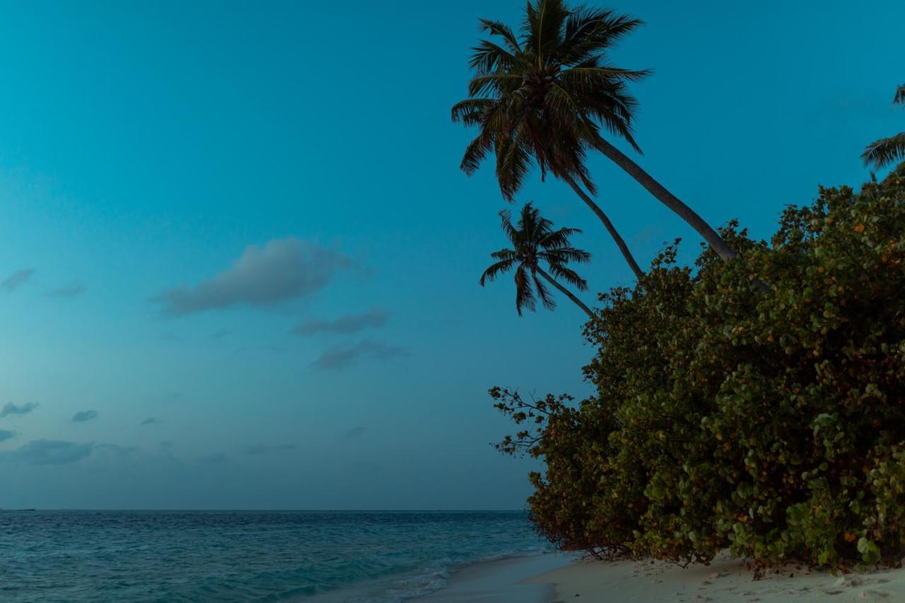 Wow Retreat Hotell Felidhoo Exteriör bild