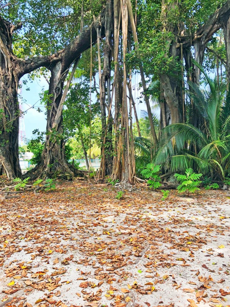 Wow Retreat Hotell Felidhoo Exteriör bild