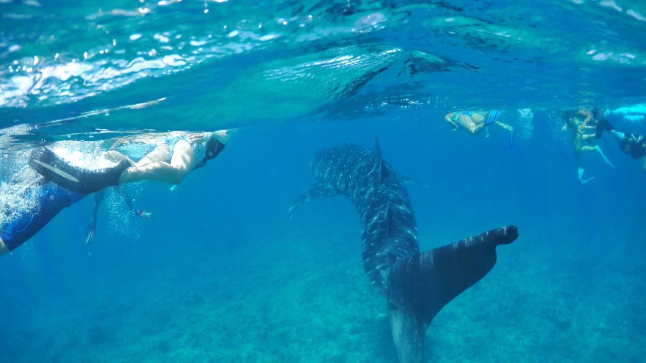 Wow Retreat Hotell Felidhoo Exteriör bild